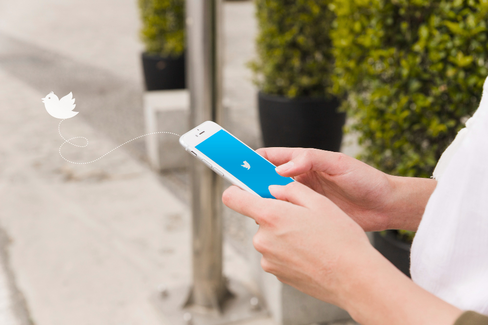 Twitter Campaign Management